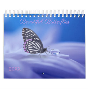 Calendrier Belle Papillons Photographie