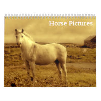 Belles images de chevaux 2025