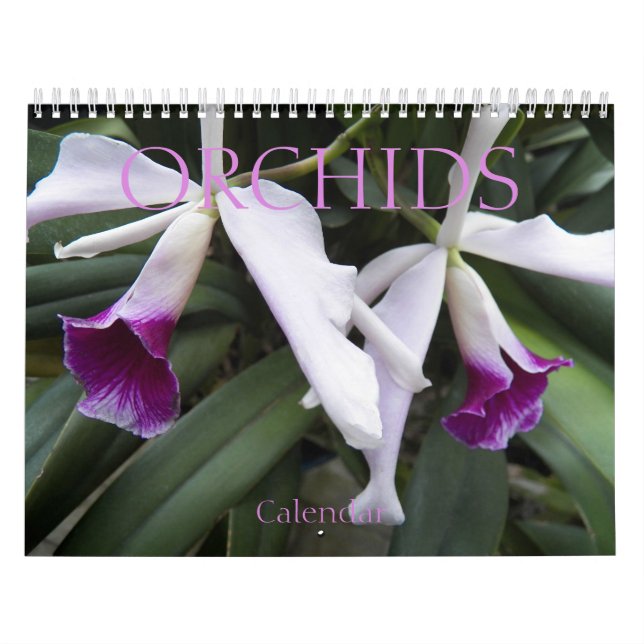 Calendrier Belles Orchidées Floral Photographie (Protection)