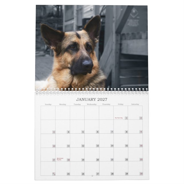 Calendrier - berger allemand (Jan 2027)
