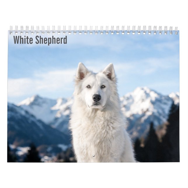 Calendrier Berger Blanc 2027 (Protection)