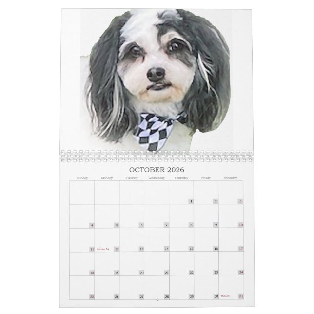 Calendrier Best of K-Cee Cute Zuchon Chien 2023-2024 Calendri (Oct 2026)