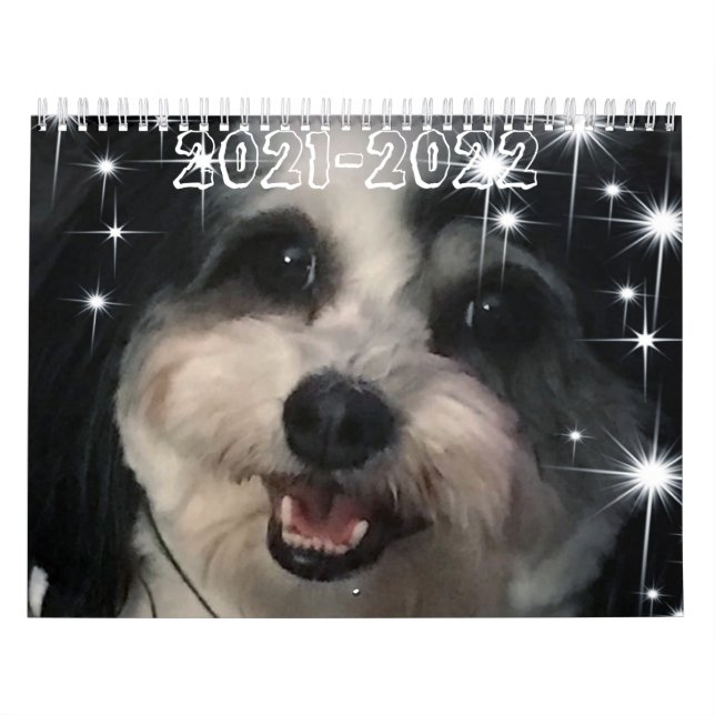 Calendrier Best of K-Cee Cute Zuchon Dog 2021-2022 (Protection)