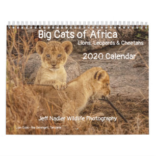 Calendrier Big Cats of Africa : Lions, léopards 2020