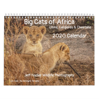 Calendrier Big Cats of Africa : Lions, léopards 2020