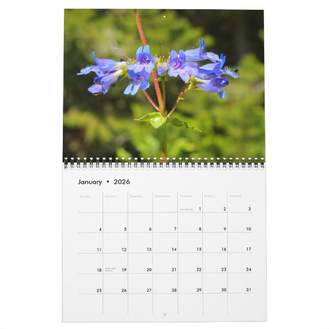 Calendrier Big Sky Country Fleurs sauvages 2012 (Jan 2026)