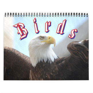 Calendrier Bird Calendar
