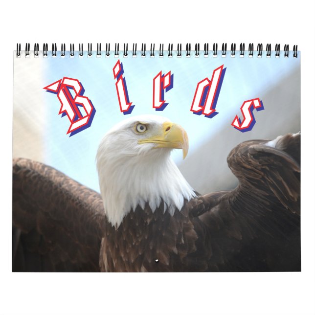 Calendrier Bird Calendar (Protection)