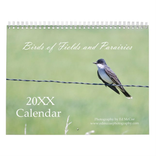 Calendrier Birds of Fields and Prairies Calendar (Protection)