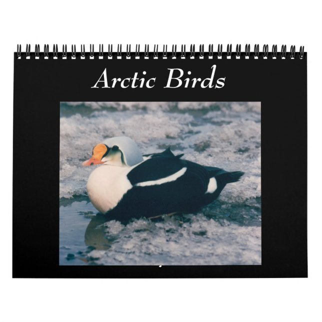 Calendrier Birds Of The Arctic Photo Calendar Alaska (Protection)