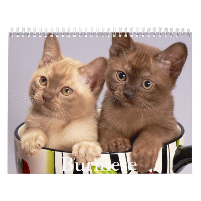 Calendrier birman (Protection)