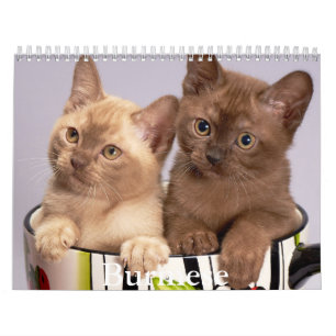 Calendrier birman