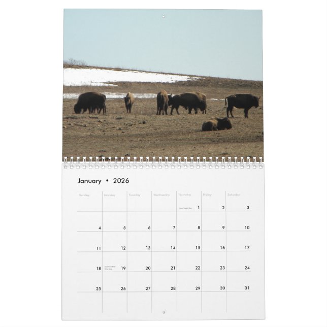 Calendrier Bison américain (Jan 2026)