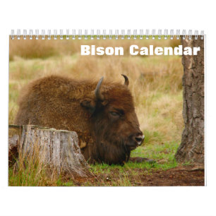 Calendrier Bison Buffalo 2027