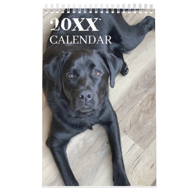 Calendrier Black Lab Calendar Labrador Retriever 2026 (Protection)