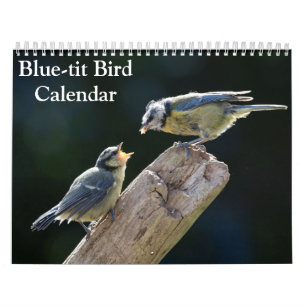 Calendrier Blue-Tit Bird 2026