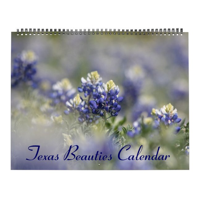 Calendrier Bluebonnets du Texas 2023 (Protection)
