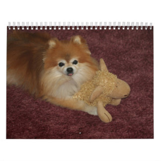 CALENDRIER BONBON POMERANIAN DE REINE