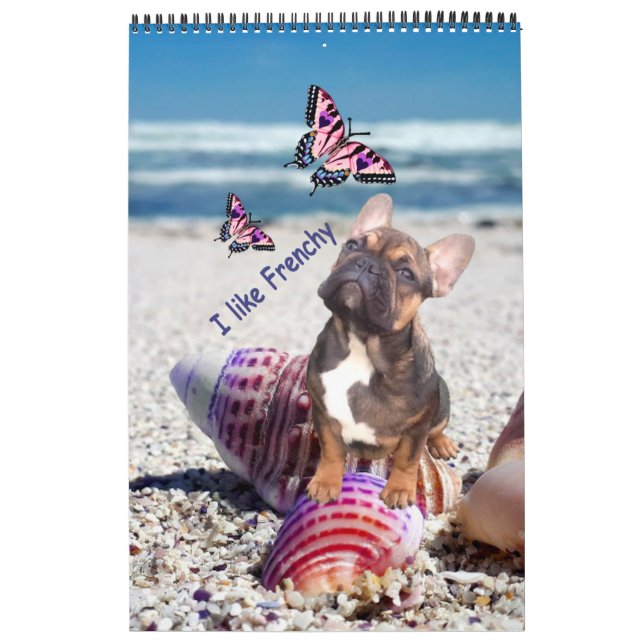 Calendrier bouledogue français superbe collection  (Protection)