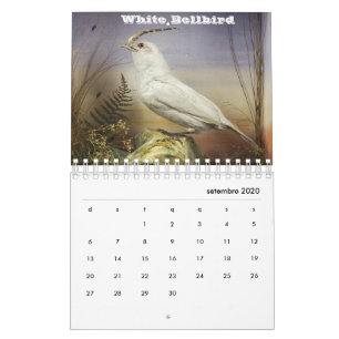 Calendrier Brésil