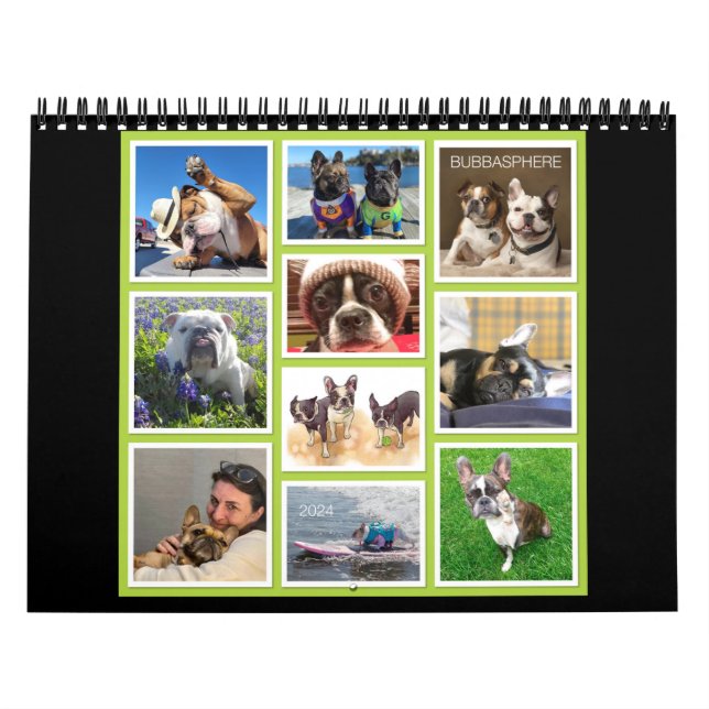 Calendrier Bubbasphere 2024 (Protection)