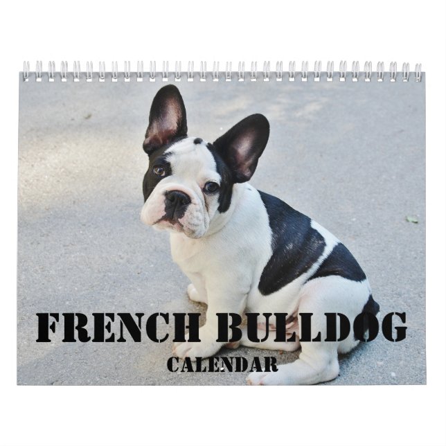 Calendrier Bulldog 2026 avec vos photos (Protection)