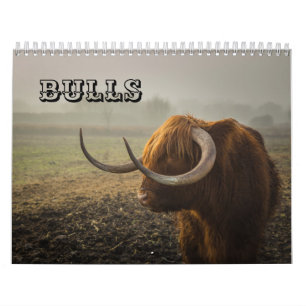 Calendrier Bulls