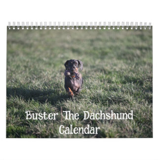 Calendrier Buster le Dachshund