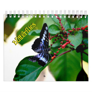 Calendrier Butterfly Calendar
