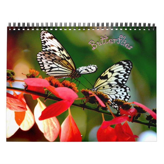 Calendrier Butterfly Calendar (Protection)