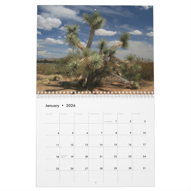 Calendrier Cactus 2013 (Jan 2026)