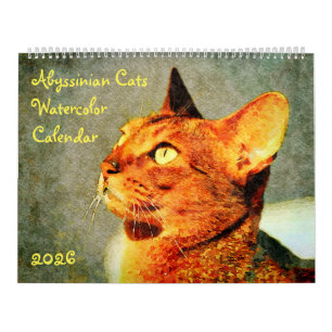 Calendrier Cadeau pour les amoureux des chats abyssins magnif