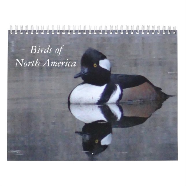 Calendrier calandaire des oiseaux d'Amérique du No (Protection)