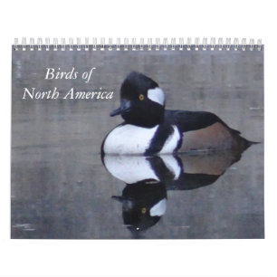 Calendrier calandaire des oiseaux d'Amérique du No