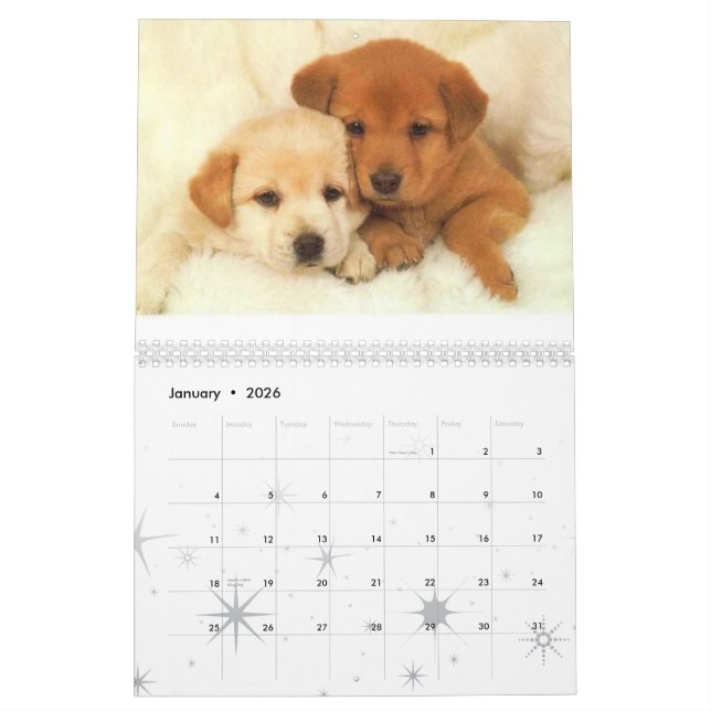 Calendrier Calander de chien (Jan 2026)