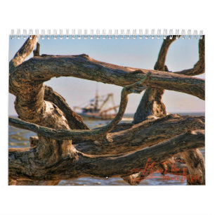 Calendrier Calander de plage de bois de flottage
