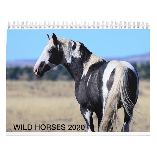 Calendrier Calandre de mustang sauvage de 2020 (Protection)