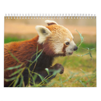 Calendrier Calandres 20 d'animal
