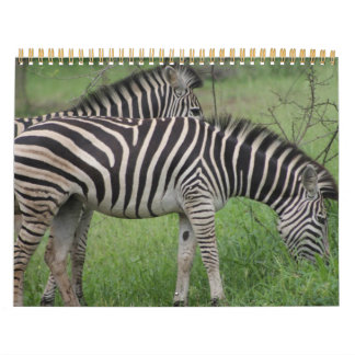 Calendrier Calender animalier du parc national Kruger