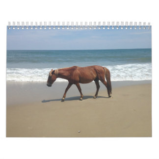 Calendrier Calender de l'environnement naturel