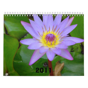 Calendrier Calendrier, 2011