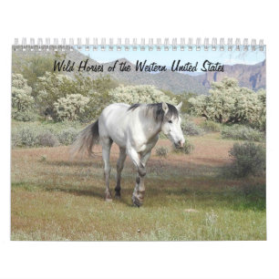 Calendrier Calendrier, Chevaux sauvages de l'Ouest des États-