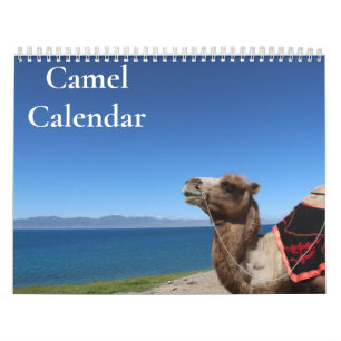 Calendrier Camel 2025