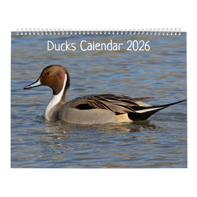 Calendrier Canards (Protection)