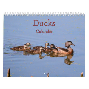 Calendrier Canards