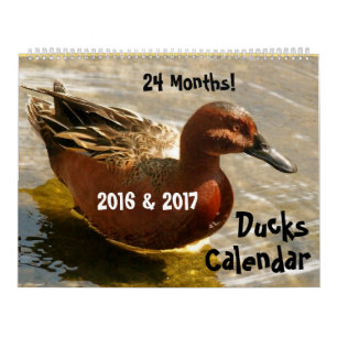 Calendrier Caneton 2016 d'animaux de faune d'oiseaux de