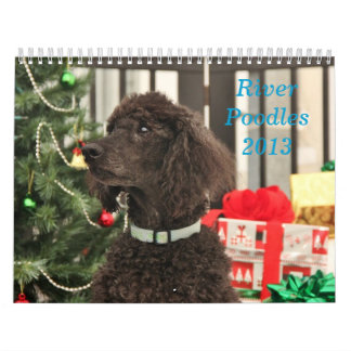 Calendrier Caniches 2013 de rivière