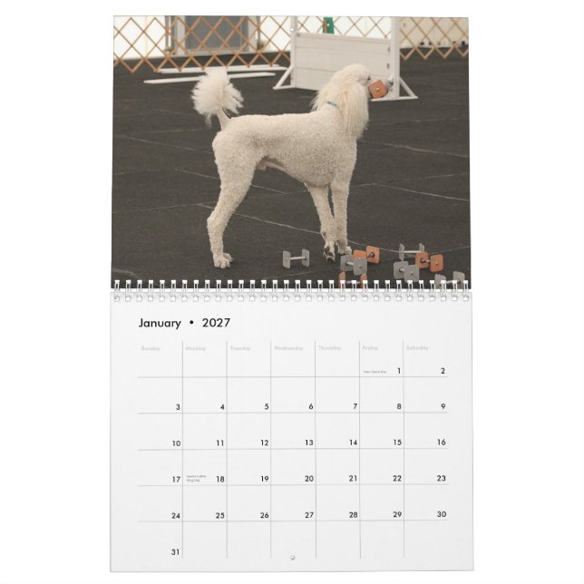 Calendrier Caniches 2013 de rivière (Jan 2027)