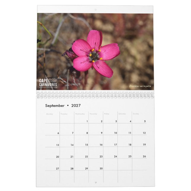 Calendrier Cape Carnivores 2022 (Sep 2027)