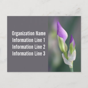 Calendrier Cartes Postales sur Mesure 2023